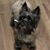 Doreen Wegmueller's profile image