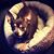 Amy King's profile image