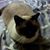 Laura Grigg's profile image