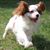 Judy Nelson's profile image