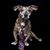 RikiDee Cannon's profile image