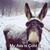Jane Allison Lacy's profile image