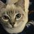 Taura Hatcher's profile image