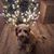 Debra Toburen Clark's profile image