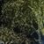 Amina O. Qureshi's profile image