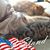 Kathy Lynn Brunow's profile image