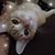 Linda Giaccio's profile image