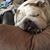 Vince Philby's profile image