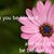 Anna T Baksa's profile image