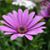 Terry Silvey's profile image