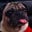 Saiyai S.'s profile image