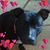 Concepcion David's profile image