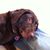 Stefanie Johnson's profile image