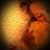 Heather Phillips's profile image