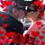Amy Williams's profile image