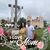 Lorena Carrillo's profile image