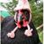 Riki Lynn Rouse's profile image