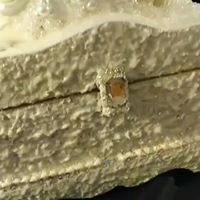 Melody Walz's profile image