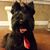 Sam Schull's profile image