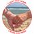 Candice Adams's profile image