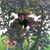Kim Ellis's profile image