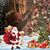 Brigit Hartley Francis's profile image