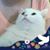 點心's profile image