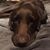 Dianne Bryan Parks's profile image
