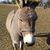Deanna Craig's profile image