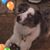 Robin DeBold Cole's profile image