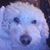 Laura Adams's profile image