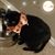 Dawn Comford-Wilcox's profile image