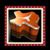 Amy Gifford Williams's profile image