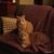 Lolly Frederick's profile image