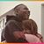 Sara Taylor's profile image