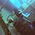 Alejandra Aviles Corral's profile image