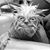 Julia G. Heuvel's profile image