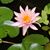 Judy Cook's profile image