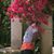 Salil Raina's profile image