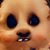Dolly Holzman's profile image