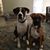 Amy Colunga's profile image