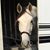 Kathy McKienzie's profile image
