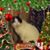 Betty Jones's profile image