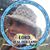 Melonie Bessette's profile image