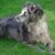 Jeanne Hoover's profile image