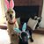 Jacki Parlin Wicker's profile image