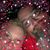 Gina Houchens's profile image