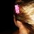 Lisa Ouellette Senick's profile image