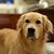 Cindy Grant's profile image