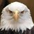 Richard Nicholas DeMaio's profile image